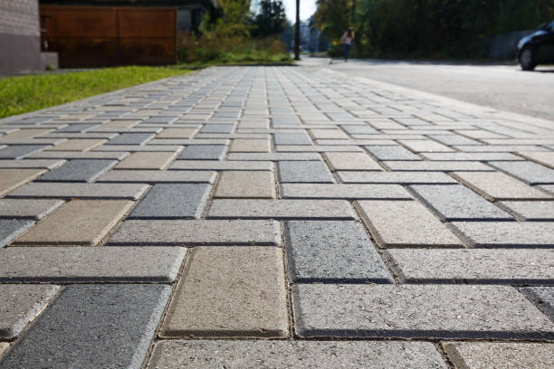Best Professional Driveway Pavers  in Rising Sun, MD